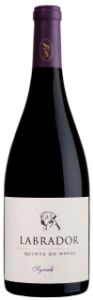 Imagem de Labrador Syrah